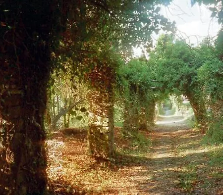 Il Convento Di Casola *